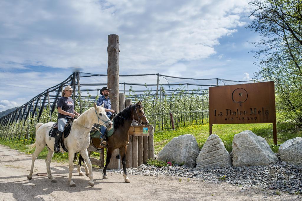 Vila Agritur La Dolce Mela - Adults Only Vezzano Exteriér fotografie